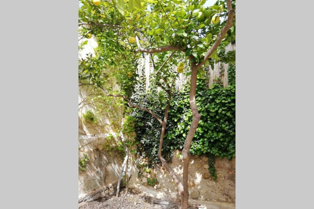 Cas Potecari Villa Porreres Buitenkant foto